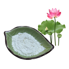 Lotus Leaf Extract Powder Nuciferine 50% 98%